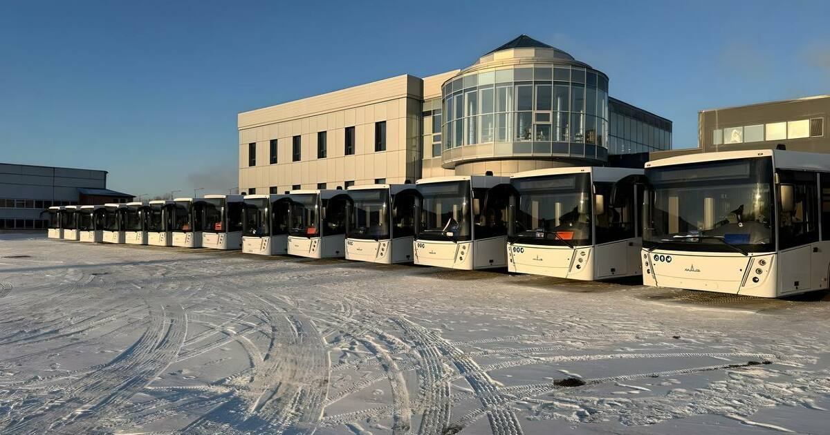 Опрос доступен на портале Госуслуг