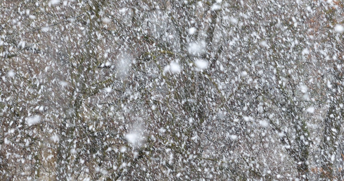 Самарскую область 12 января накроет метель: синоптики ввели жёлтый уровень Первый рабочий день года будет осложнен непогодой