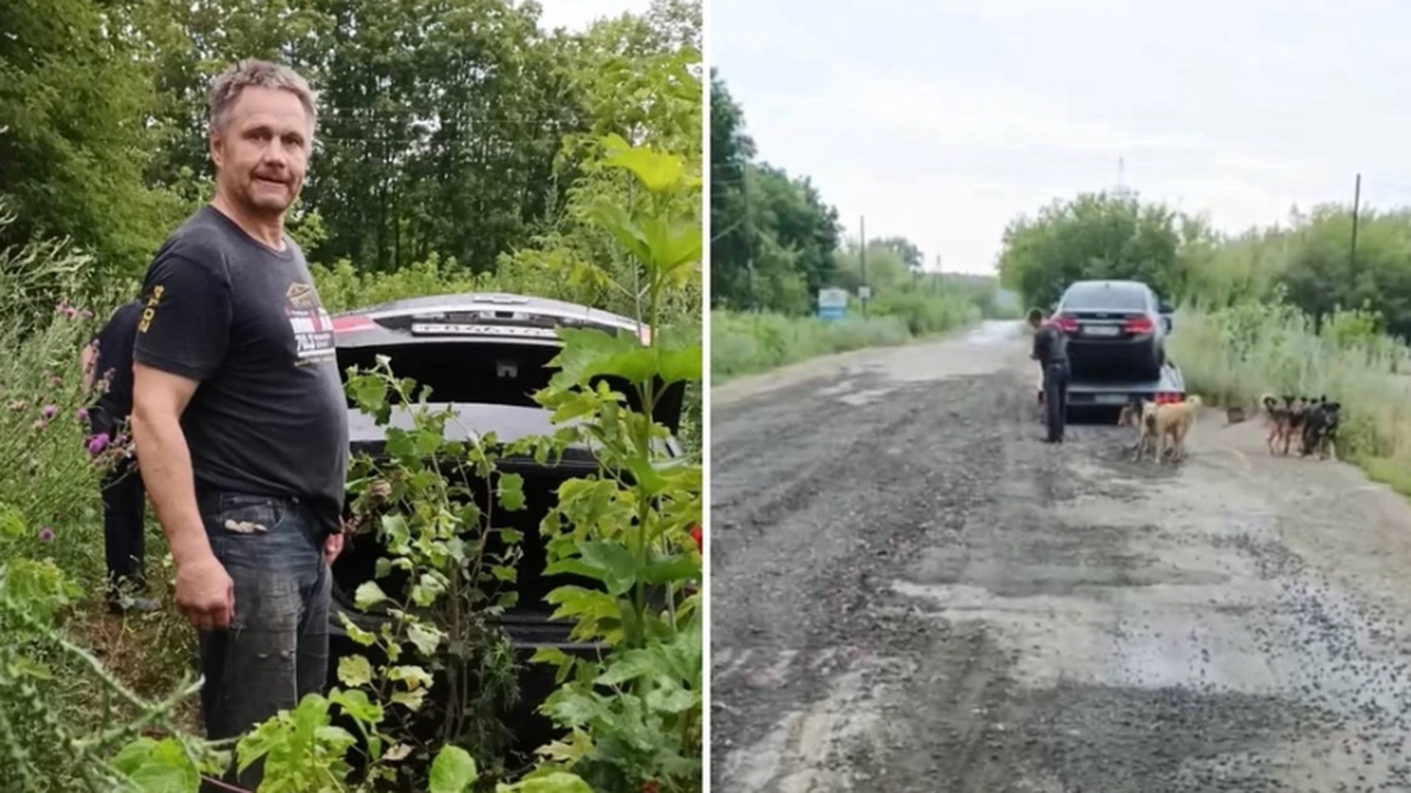 "Повелитель собак" выпустил 30 псов на волю и н...