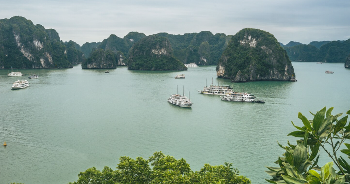 Вьетнам вместо Турции: россияне массово едут за солнцем, фруктами и экономией В 2025 году Вьетнам окончательно закрепил за со...