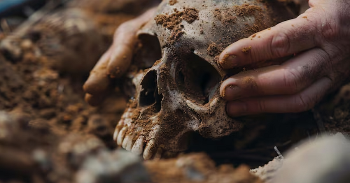 Учёные США изучили полный скелет Homo habilis, ...