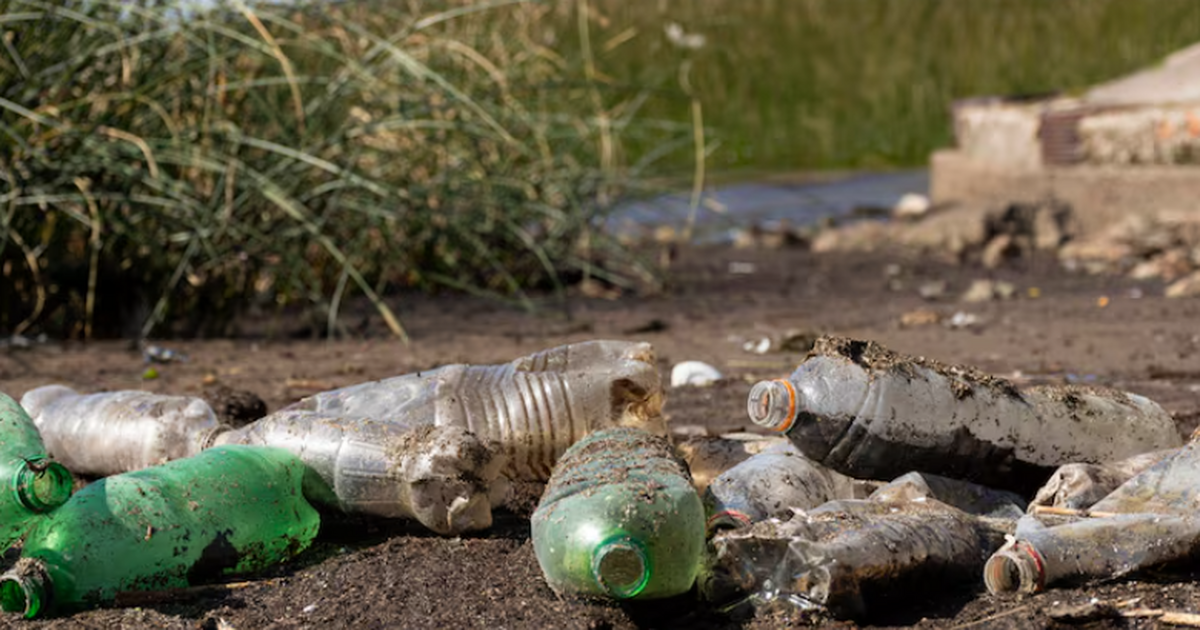 ТАСС: нейросети помогли волонтерам убрать более 50 км побережий РФ Волонтёры очистили от мусора более 50 километро...