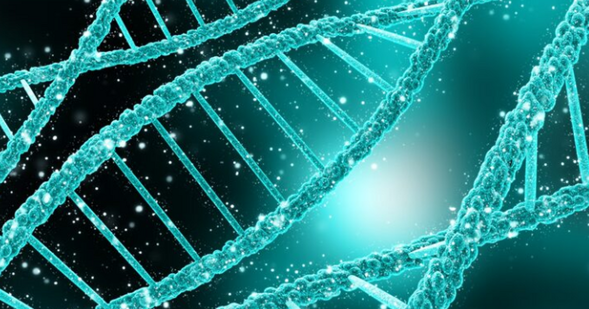 Учёные выявили у древних охотников-собирателей ...