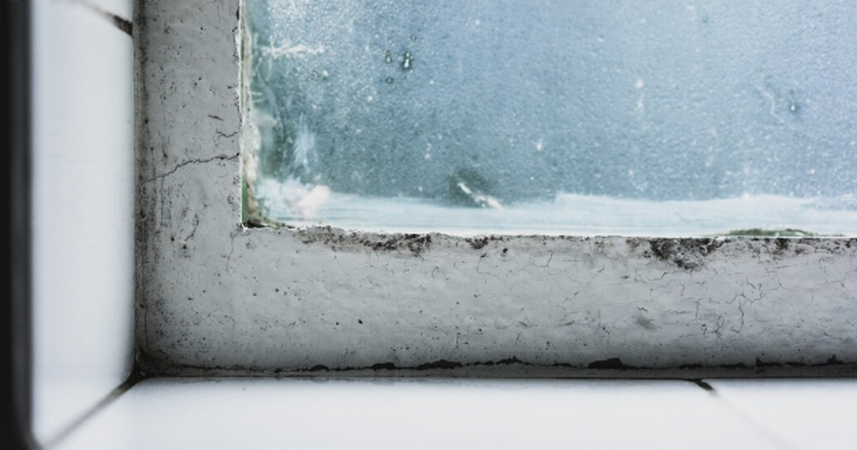 Наклеили всего за несколько минут и не мерзнем: из окон больше не сквозит, а подоконник теплый Зима на носу, а вместе с ней — холод от стекла,...