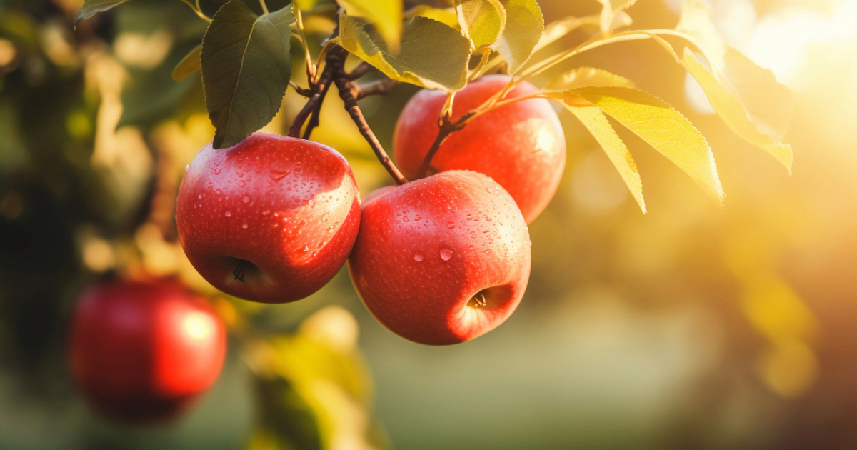 Октябрь — лучшее время закрыть сезон и защитить...