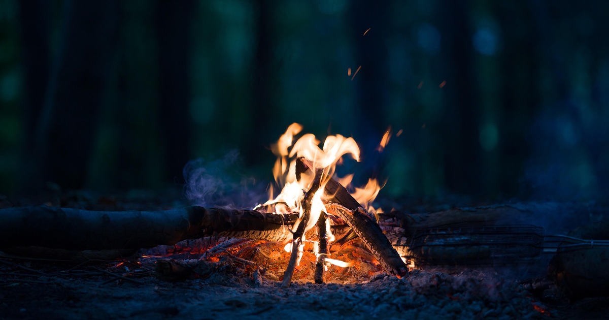 Разыскиваемый мог скрываться в лесных массивах,...