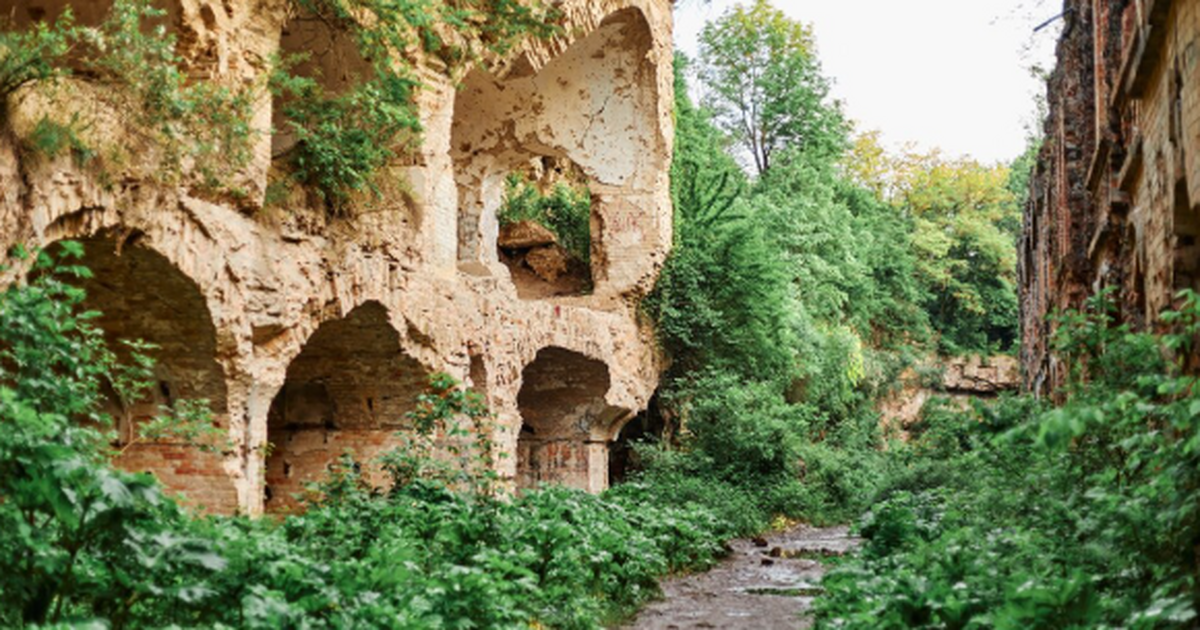 Исследователи из Оксфорда, Лестера и Дарема выя...