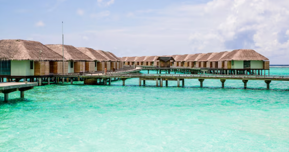 Портал «Турдом» сообщил о конфликтной поездке г...