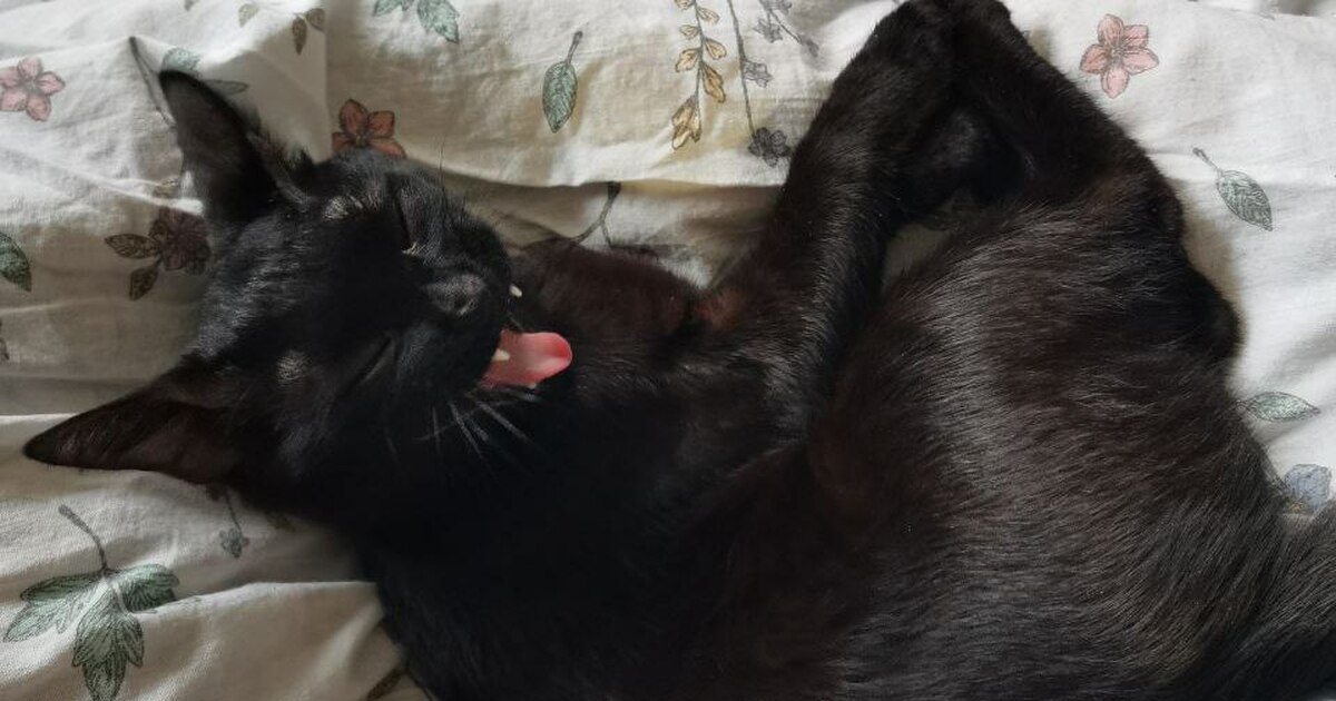 Новое исследование показало, что во время зевот...