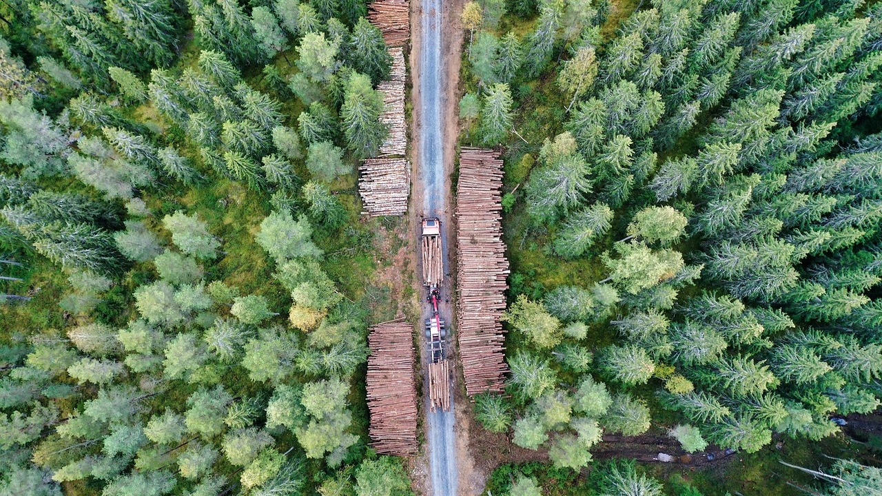 Это открытие поможет выработать новые методы ге...