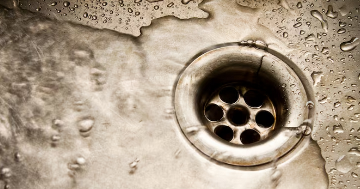 Эксперты оценили «туалетный апокалипсис» при отказе городской канализации Полный отказ городской канализационной системы ...