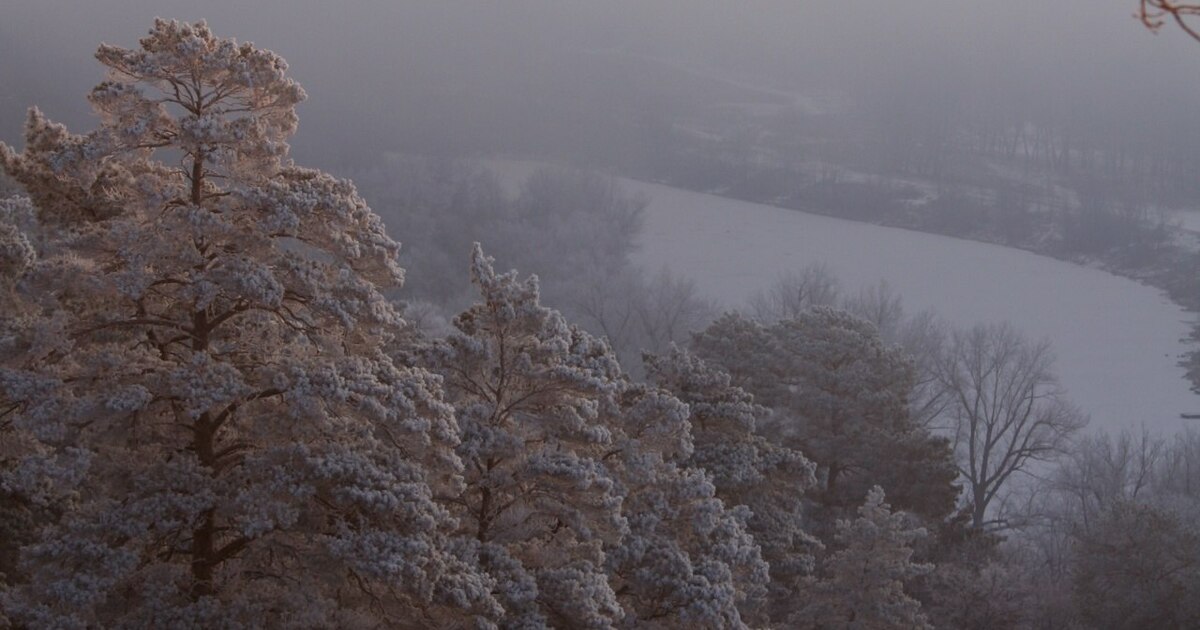 Собранные средства идут на содержание и развити...