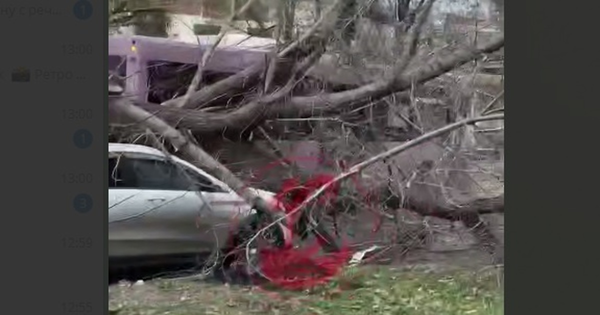 В Самаре автобус повалил дерево на припаркованную Lada X-Ray По сообщению ГУ МВД, в ДТП никто не пострадал