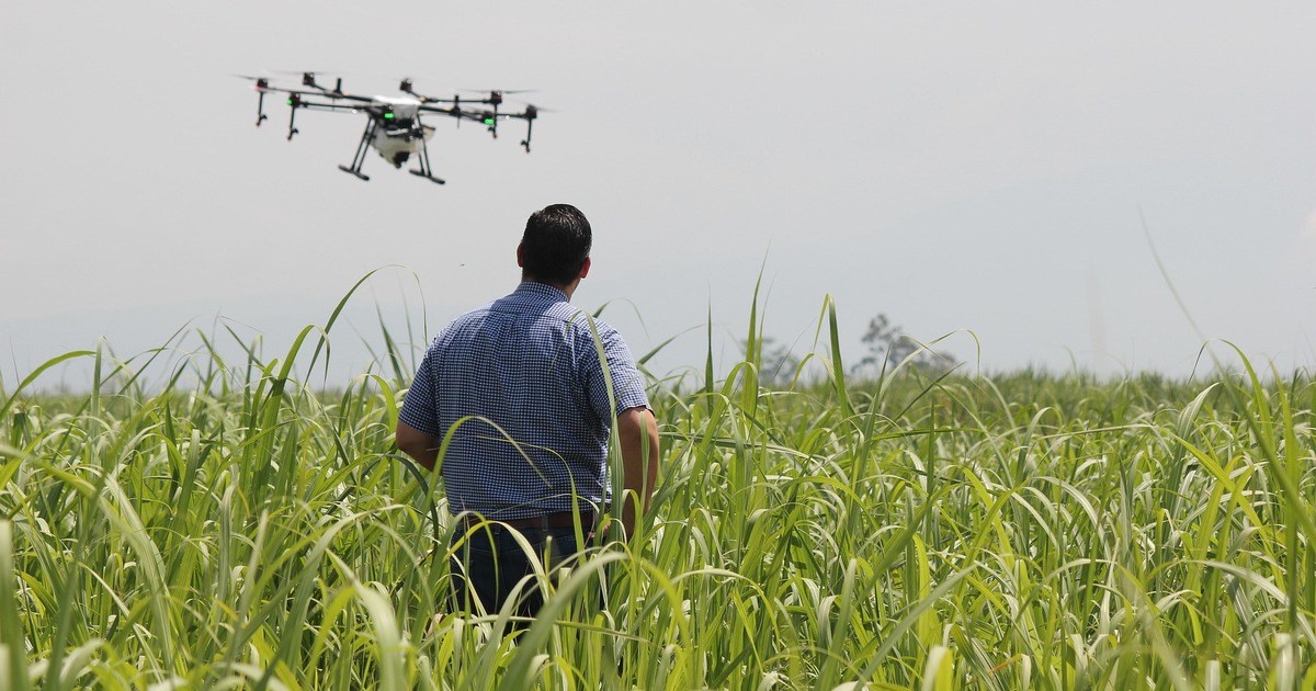 В Самарской области набирают в войска БПЛА на годовой контракт с обучением К участию в отборе приглашаются граждане от 18 ...
