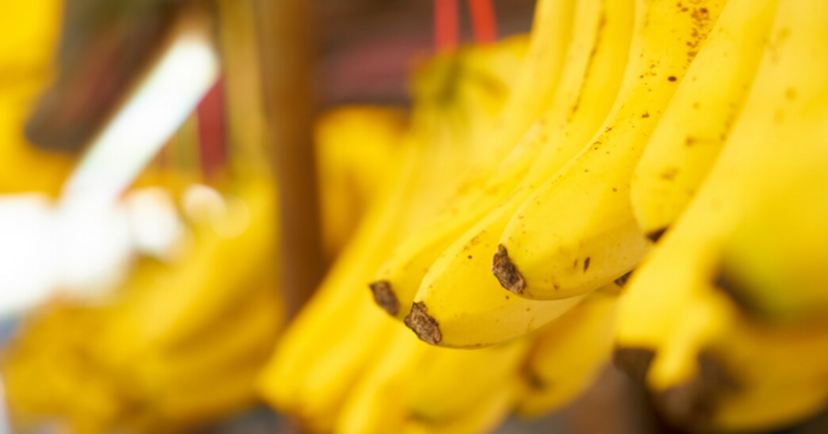 Российские бананы: эксперимент или бизнес-мечта...