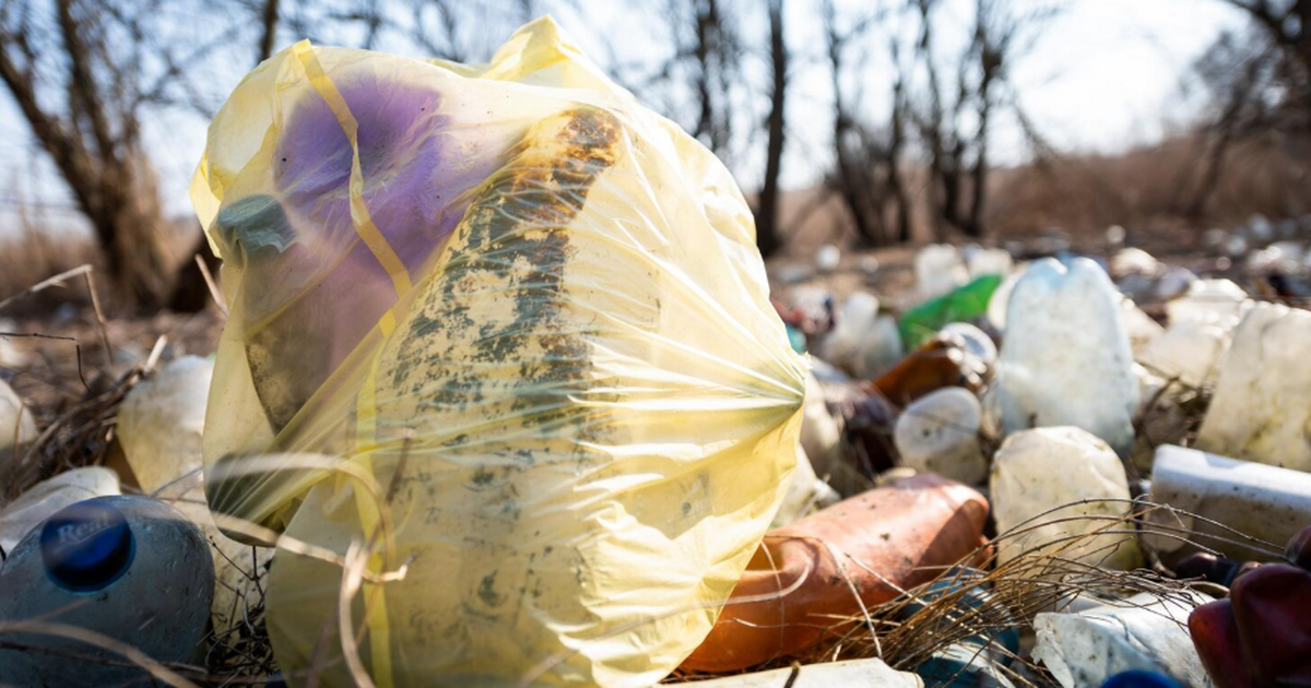 В Самарской области выявили 18 объектов накопленного эковреда В Государственный реестр объектов, оказывающих ...