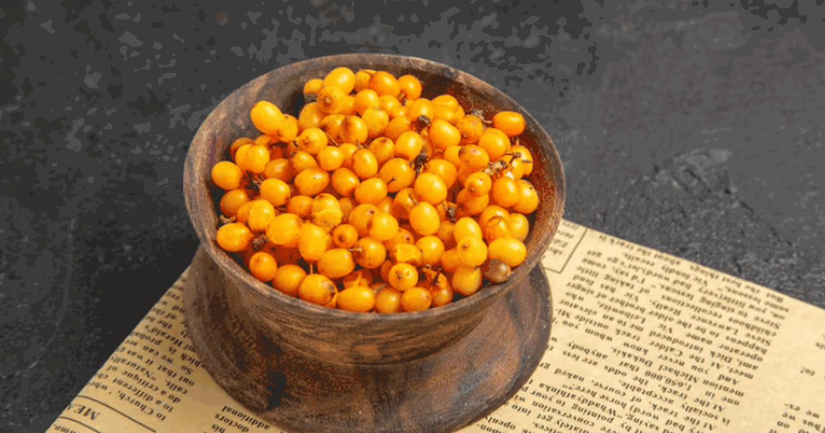 Учёные показали, что облепиха в сочетании с пре...