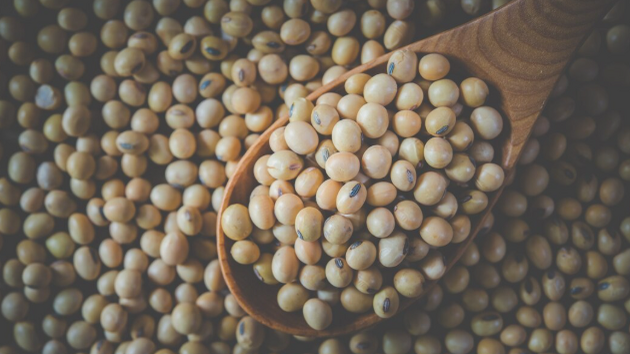 Японцы не просто так доживают до 100 лет: они обожают продукт, который в России люто ненавидят «Нитки» здоровья: как натто стало символом япон...