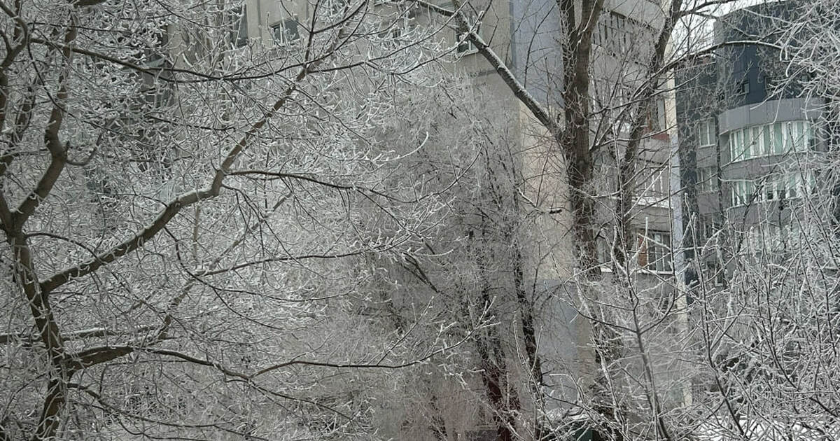 В Самаре ожидаются морозы до −28 градусов В Самарской области прогнозируют арктические мо...