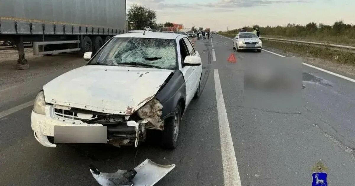 В Тольятти водитель Lada Priora насмерть сбил пешехода на Обводном шоссе Сегодня в 05:49 в Тольятти произошло ДТП с учас...