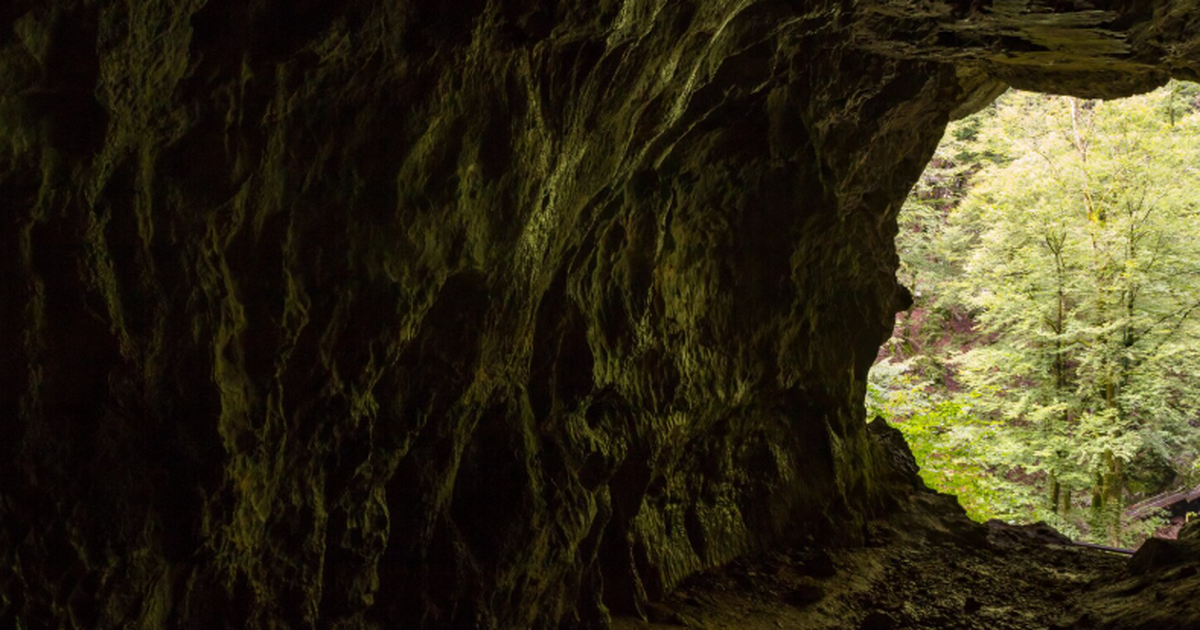 На Северном острове обнаружена пещера с останка...