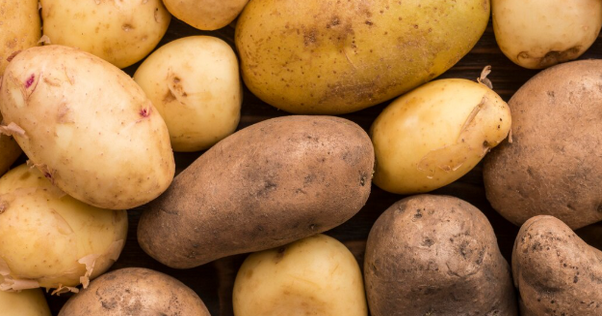 Собрал картофель уже в конце мая: Знаю простой, но хитрый лайфхак - посадка под зиму Картофель на месяц раньше: секрет подзимней пос...