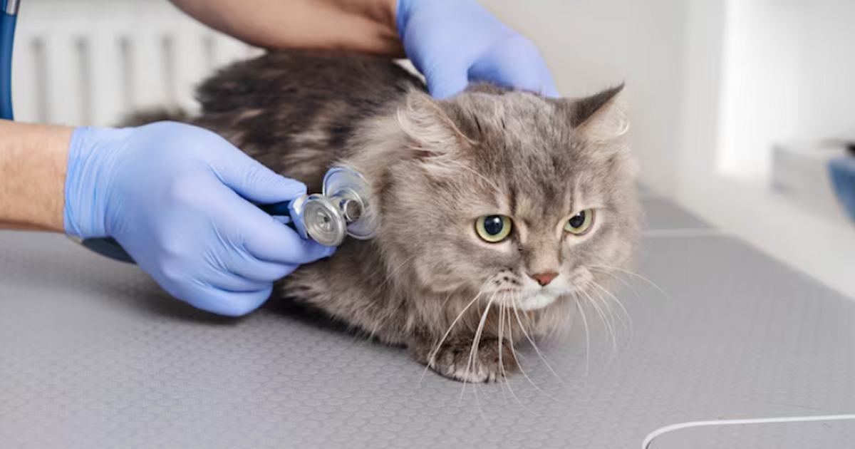 История москвича, который объявил себя банкрото...