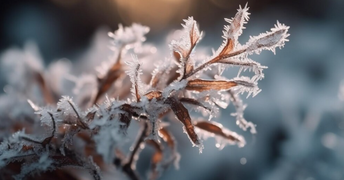 Зима решила прийти без приглашения. На европейс...