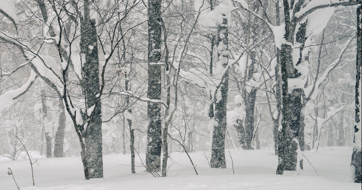 С ним будет связаны снегопады и потепление