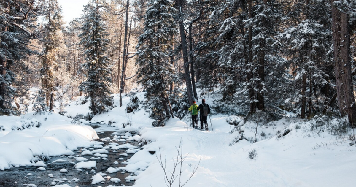 Прошел месяц с момента исчезновения семьи Усоль...