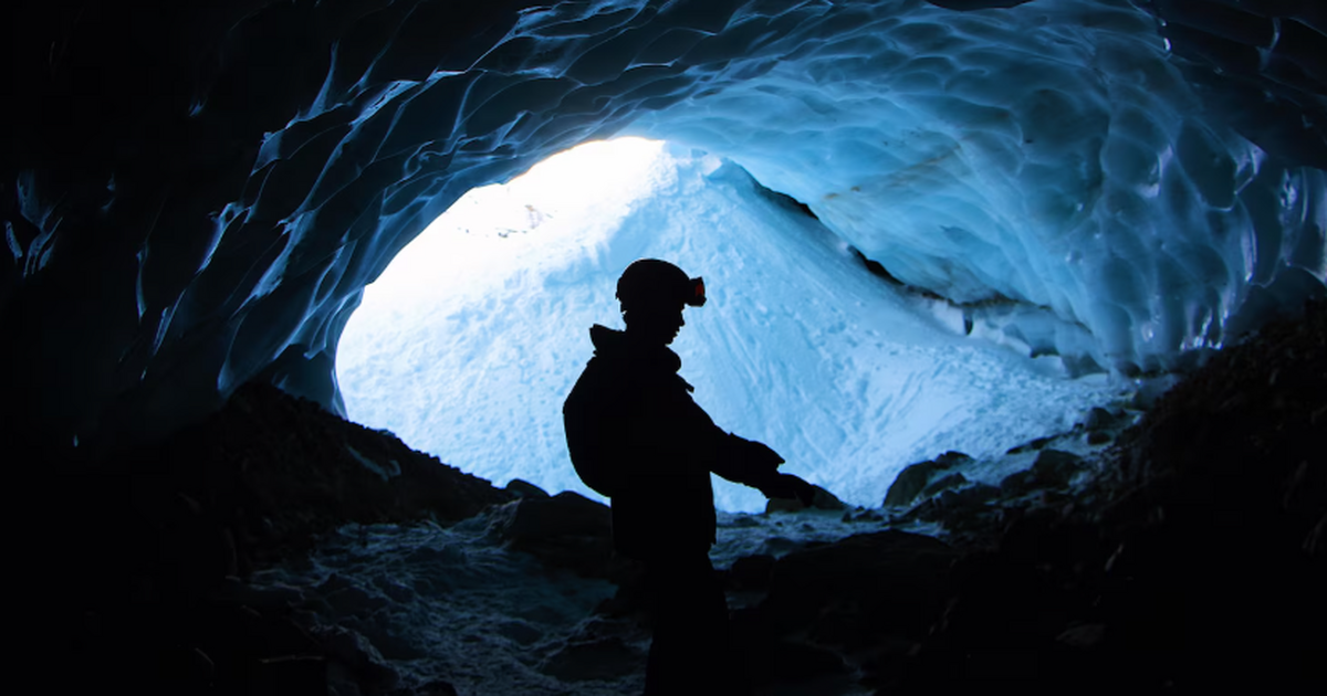 Ученые разработали мобильный агрегат для борьбы...