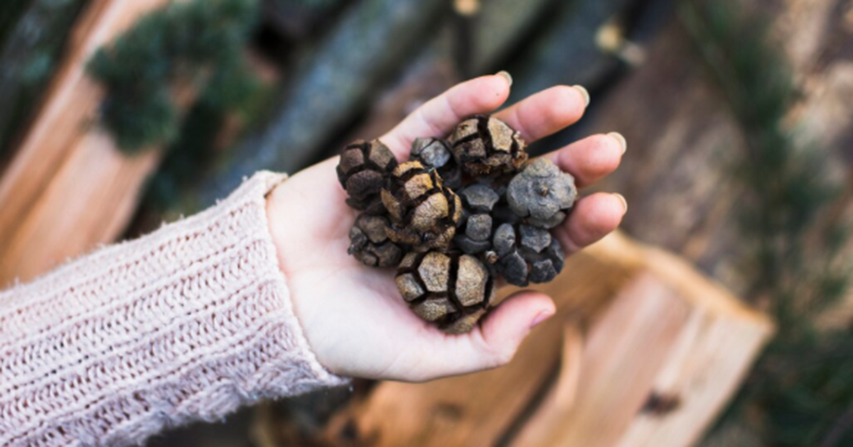 Россияне стали размещать объявления о продаже к...