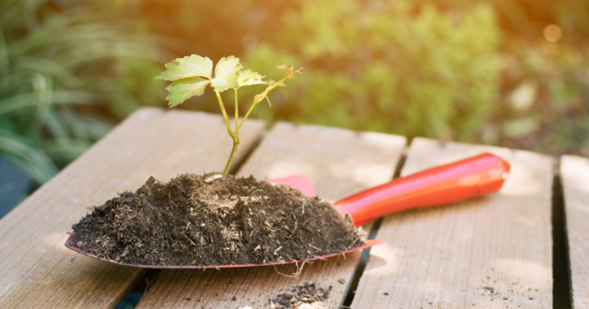 Ученые Кабардино-Балкарского государственного у...