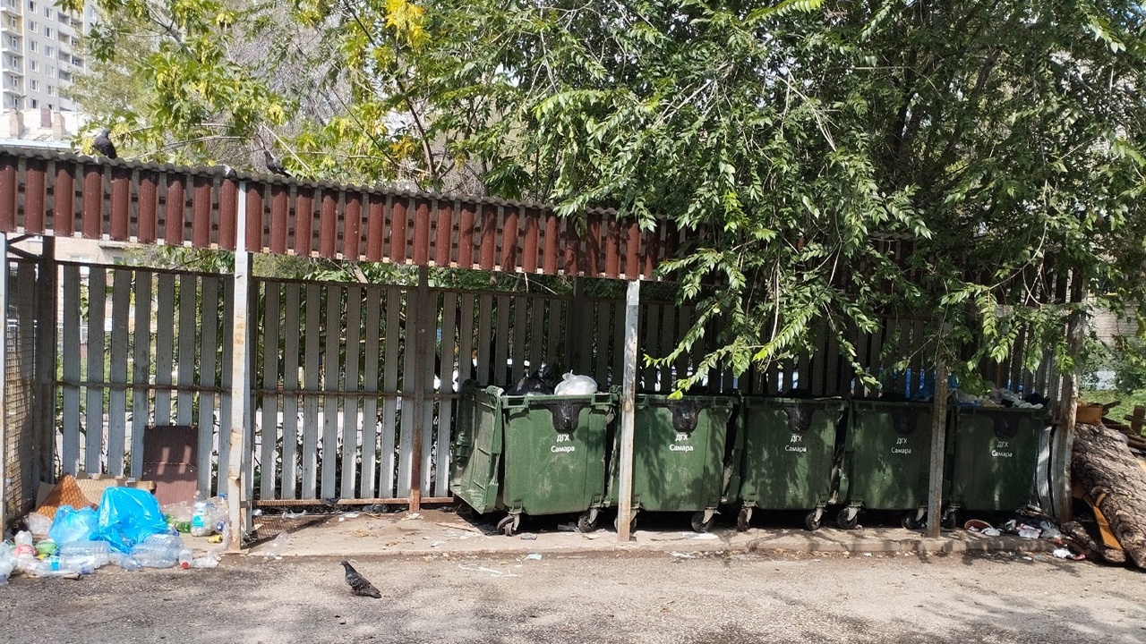 Выбор сделают в октябре: Самарская область определится с новым "мусорным" регоператором Областное Минприроды начало отбор конкурсных за...
