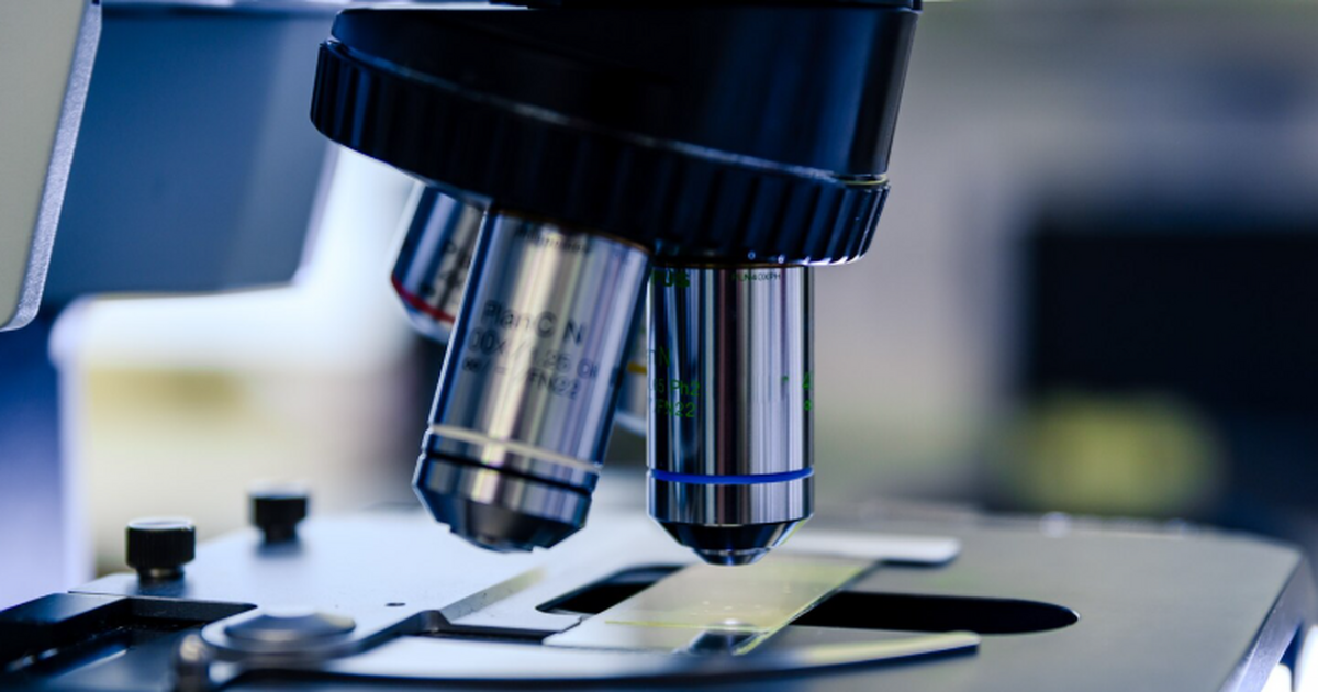 Ученые изучают археон Thermococcus gammatoleran...