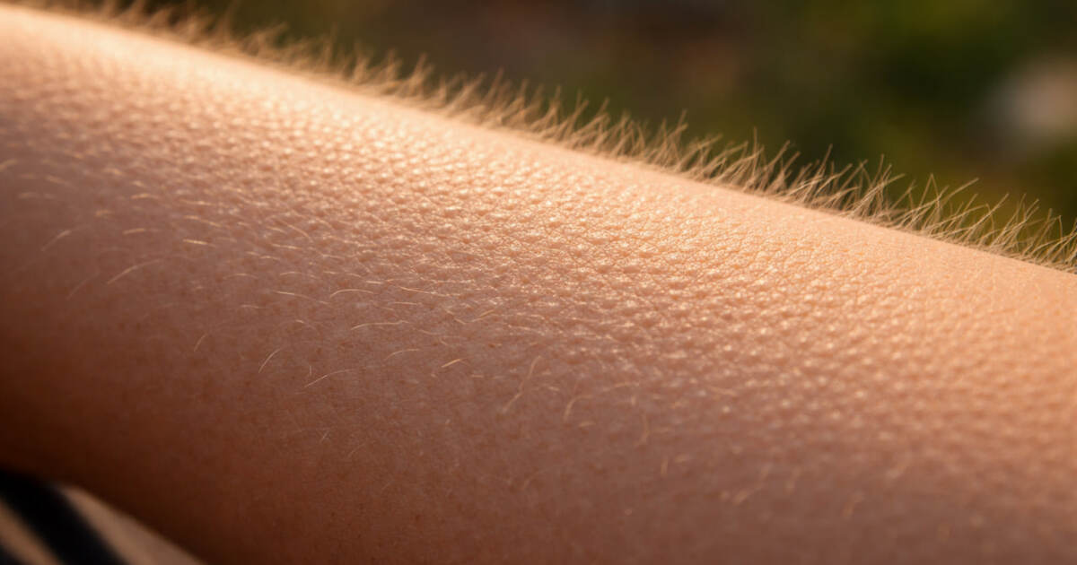 PLOS Genetics: выявлена генетическая предрасположенность к мурашкам от искусства Исследование PLOS Genetics показало, что склонн...