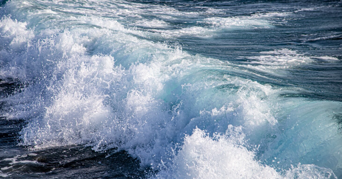 Исследование Университета Осаки показало, что г...