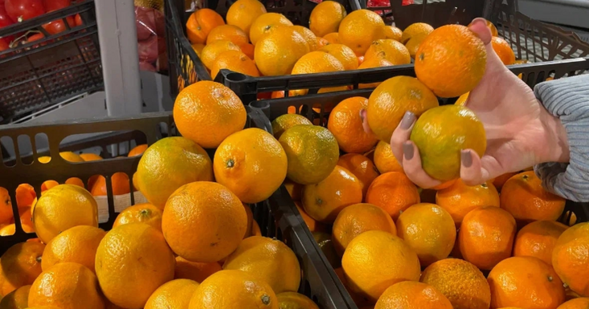 Россияне скупают копеечные мандарины именно в этих магазинах: где купить их дешевле 100 рублей к Новому году Россиян уже заваливают мандаринами — и цены лет...