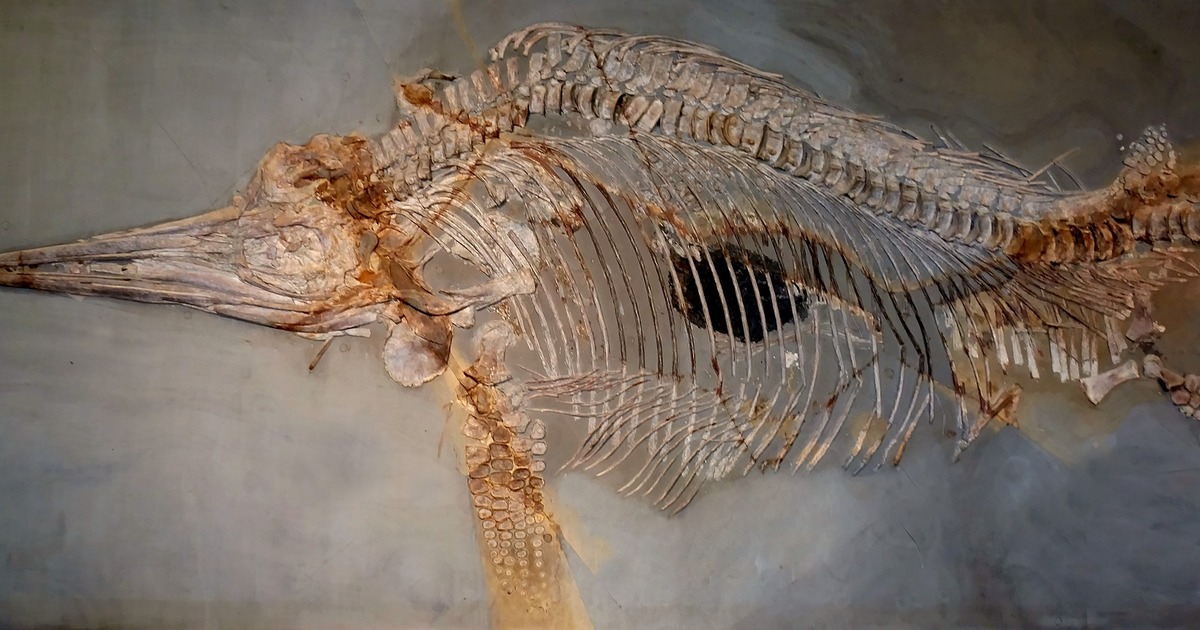 Находка в Китае изменила теорию: жизнь на Земле возникла раньше Учёные обнаружили в Китае уникальные залежи дре...