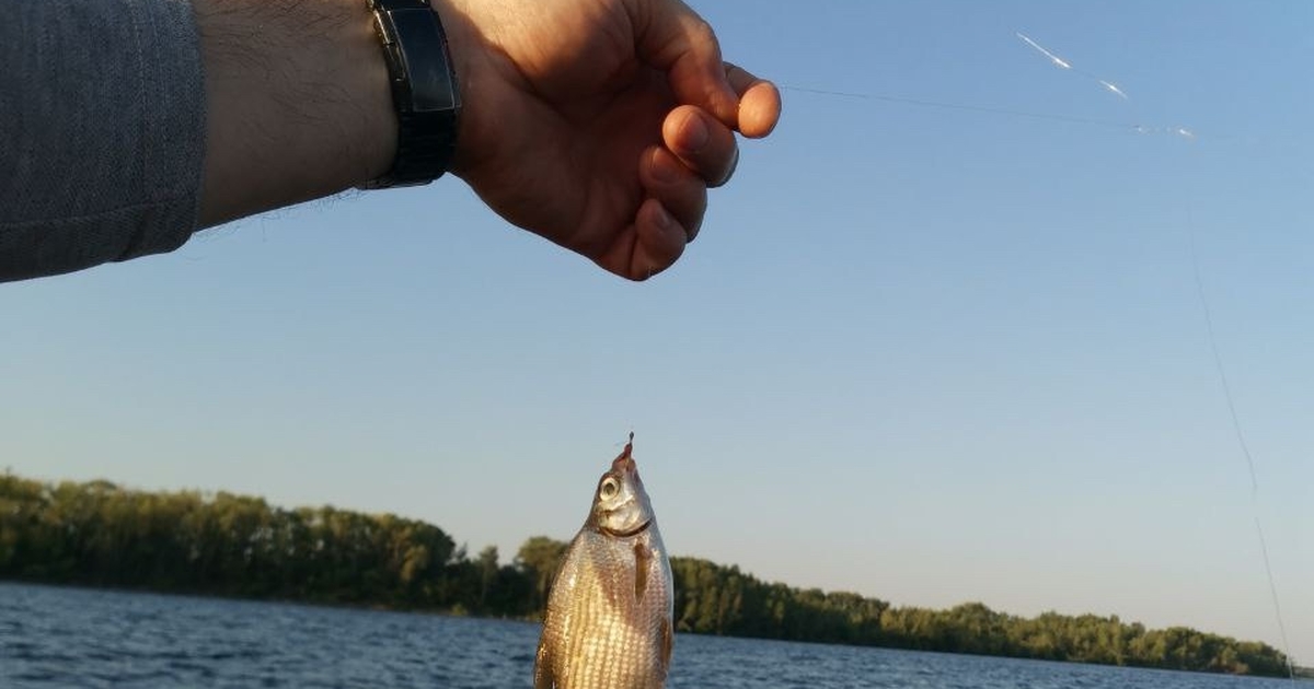 Ограничения будут действовать до 10 июня