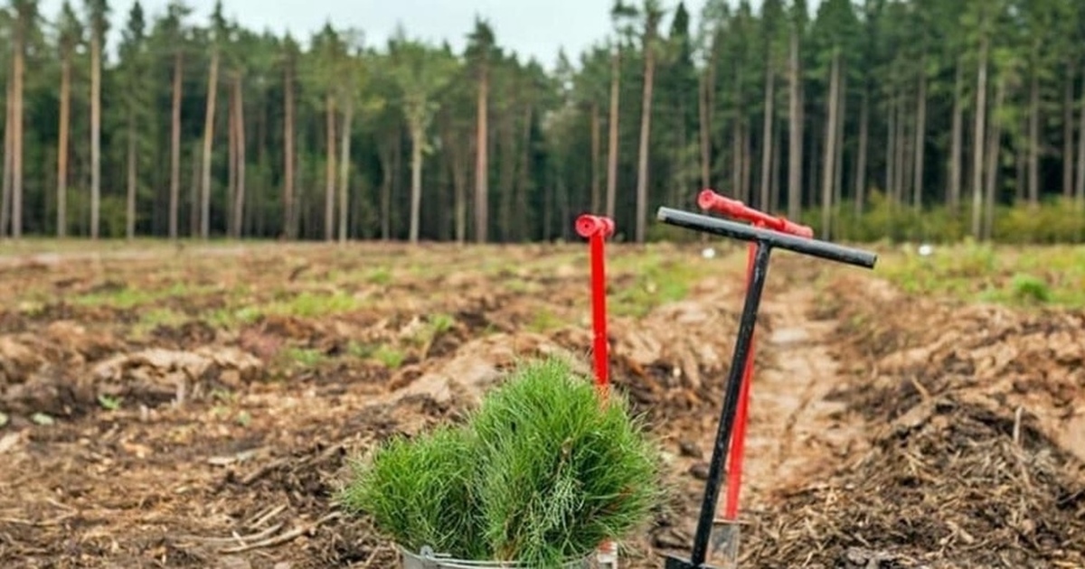 Акцию организует Самарское областное отделение РГО