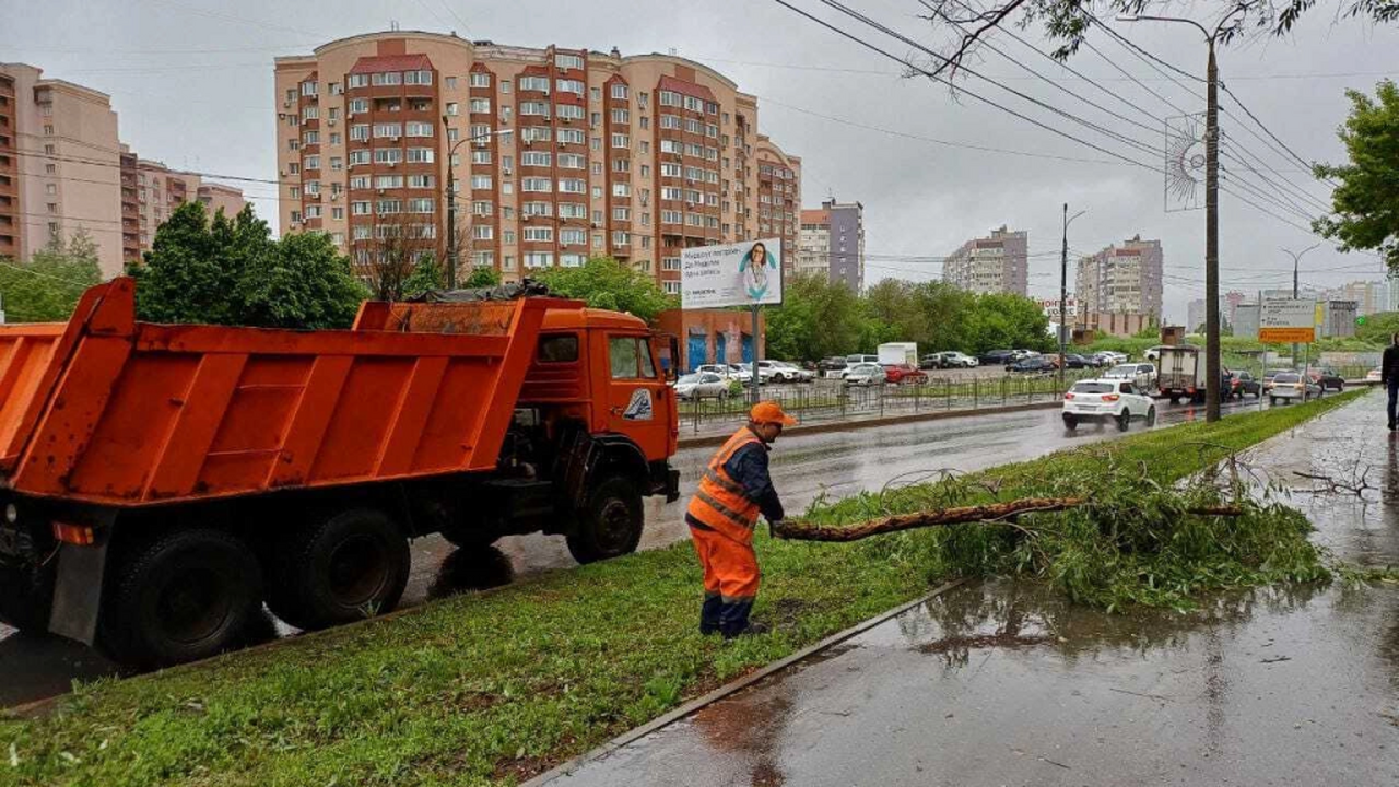 В Самаре коммунальные службы устраняют последствия штормового ветра Коммунальщики убирают с улиц города упавшие дер...