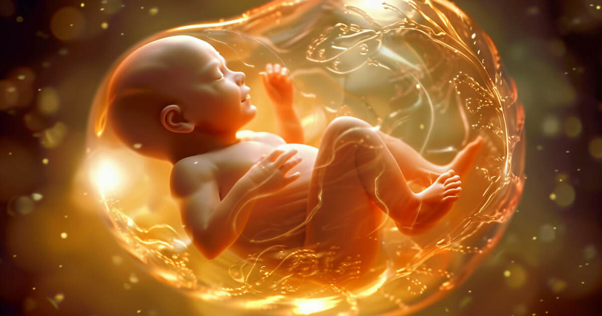 Ученые разработали трёхмерную модель матки на ч...