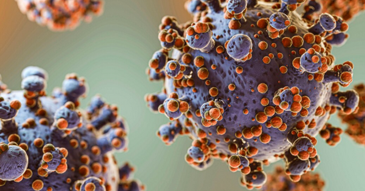 Генетики восстановили геном бактерии Treponema ...