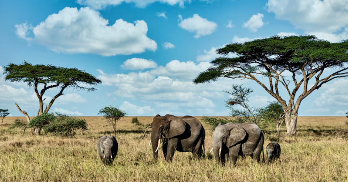 Новые данные свидетельствуют, что тектоническая...