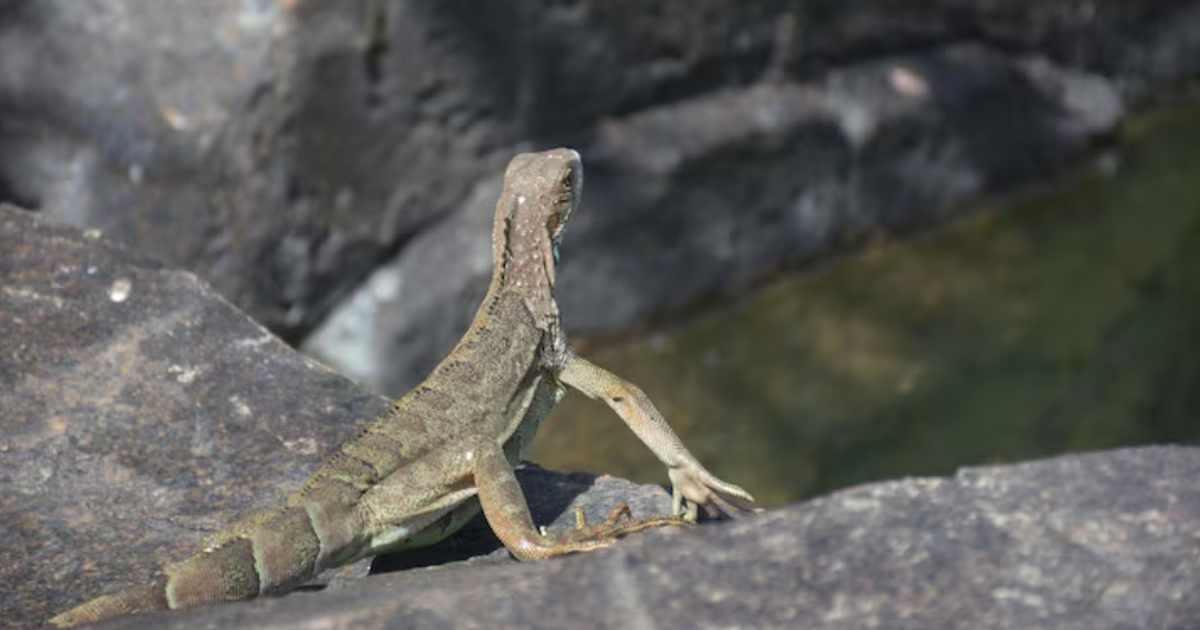 Палеонтологи впервые получили жёсткое геохимиче...