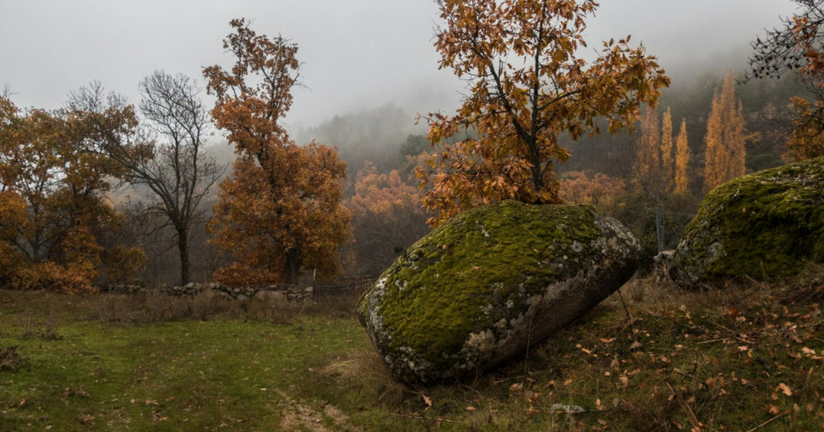 Генетическое исследование показало, что в древн...