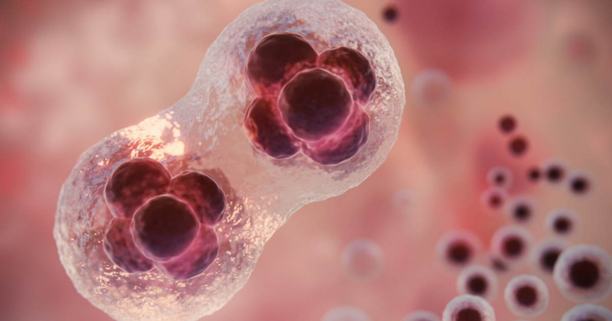 Специалисты из компании Ovo Labs создали экспер...