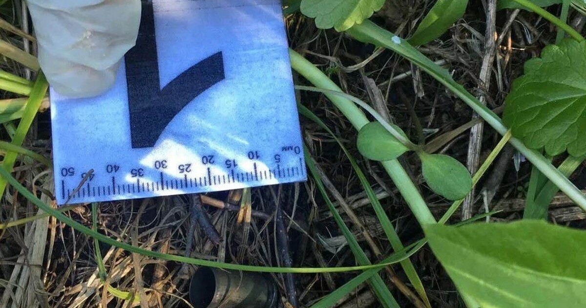 В Тольятти задержали подозреваемого в убийстве мужчины в сквере В ближайшее время суд рассмотрит вопрос об избр...
