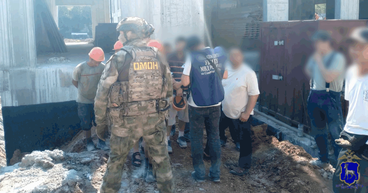 В Самарской области выявили нарушения миграционного законодательства В Самарской области полиция проверила более 40 ...